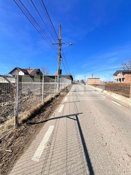 Teren agricol intravilan de 12300 mp, în Moara Nica