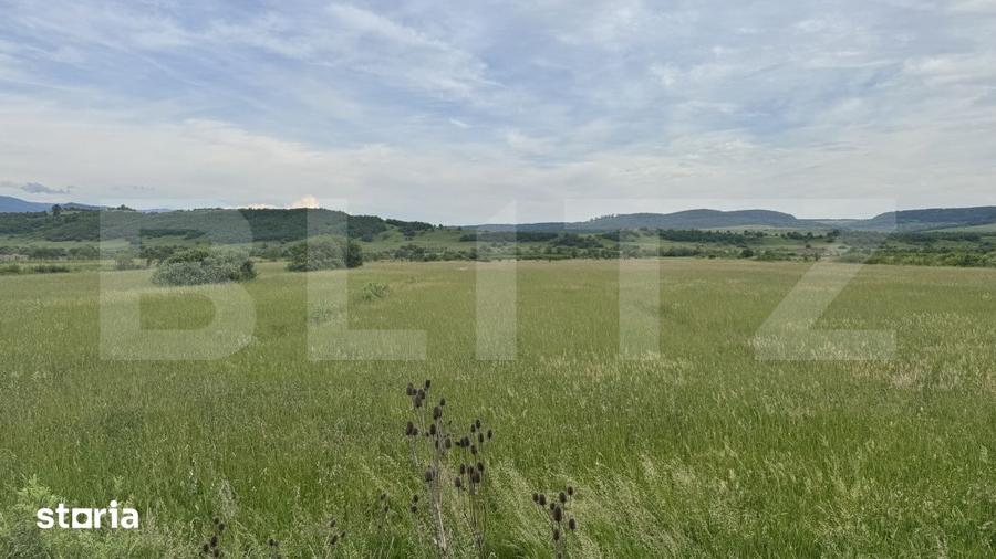 Teren de 5500 mp, în Livezile