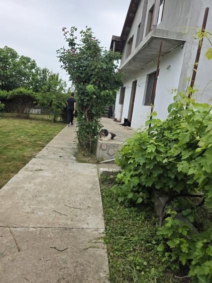 Casă cu 4 camere în Brănești
