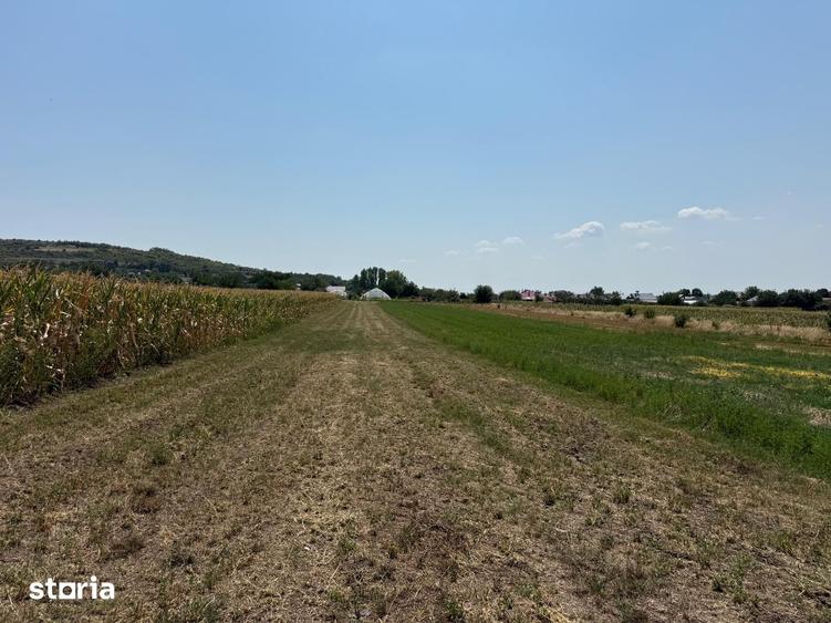 Teren de 1800 mp, în Șimnicu de Sus