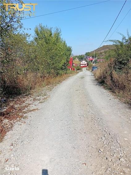 Casă cu 1 camere cu Teren 1700 Mp în Sânpetru de Câmpie