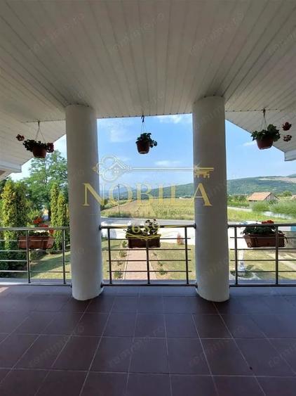 Casă cu Teren 4200 Mp în Livezi