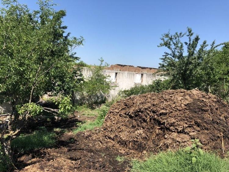 Teren agricol intravilan de 9795 mp, în Rădoiești