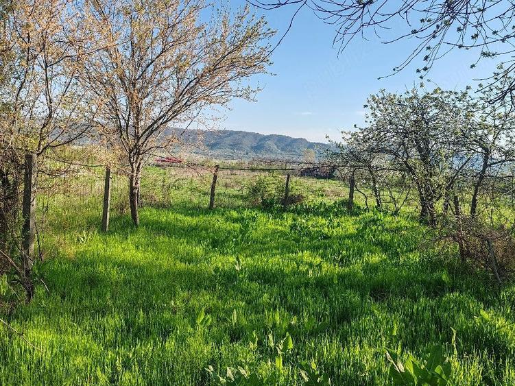 Casă cu Teren 5000 Mp în Unguriu