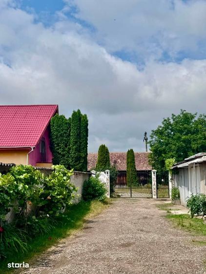 Casă cu 3 camere cu Teren 3500 Mp în Central