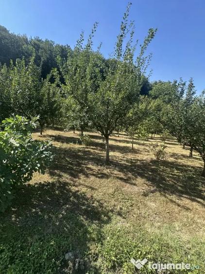 Casă cu 5 camere cu Teren 2800 Mp în Central