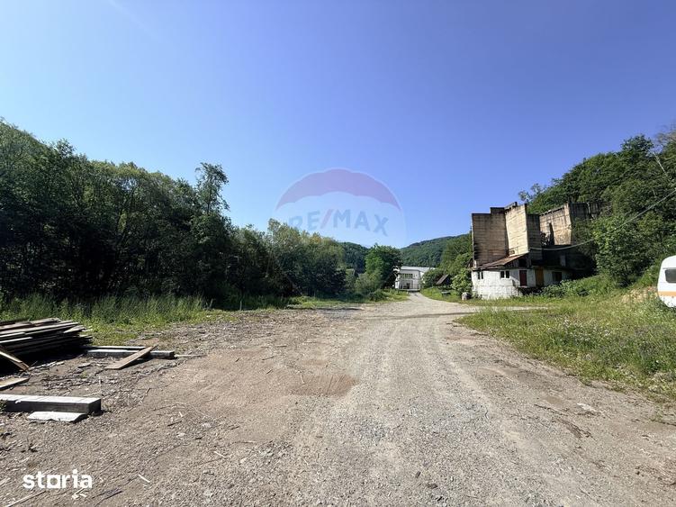 Teren Scrind-Frasinet 2 ha - 5