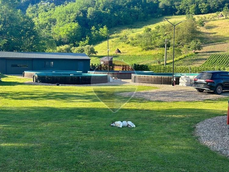 Teren Construcții intravilan de 4577 mp, în Roșia