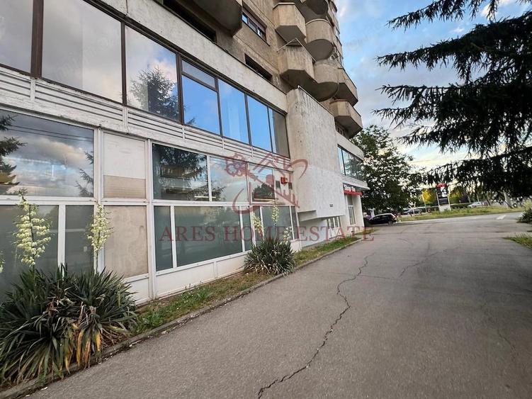 Spa?iu comercial 820 mp de inchiriat Calea Aradului - 13