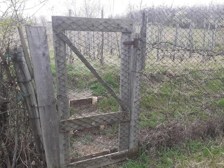 Teren de 760 mp, în Central