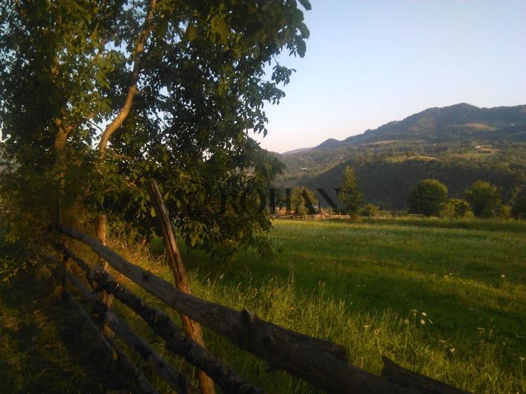 Teren intravilan de 5360 mp, în Tiha Bârgăului