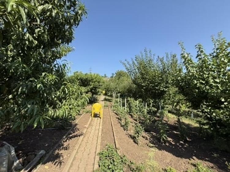 Casă individuală cu 6 camere cu Canalizare în Cetate