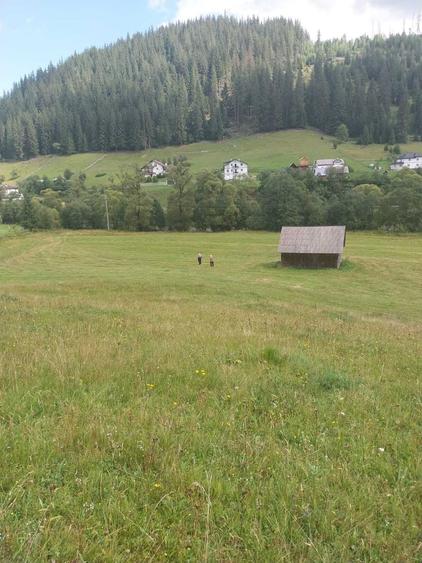Teren 24134 mp Ciocanesti, Jud. Suceava - 7