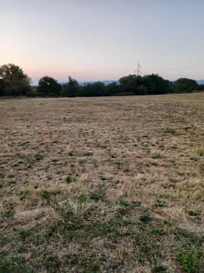 Teren de 15000 mp, în Central
