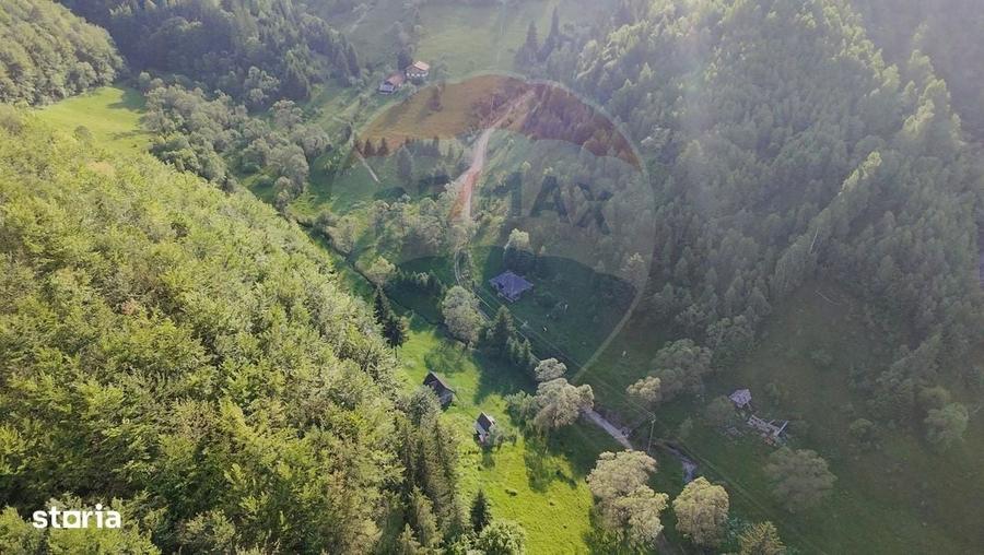 Teren 38,704mp Sirnea | 2.000 mp Intravilan | 36,704 Extravilan - 12