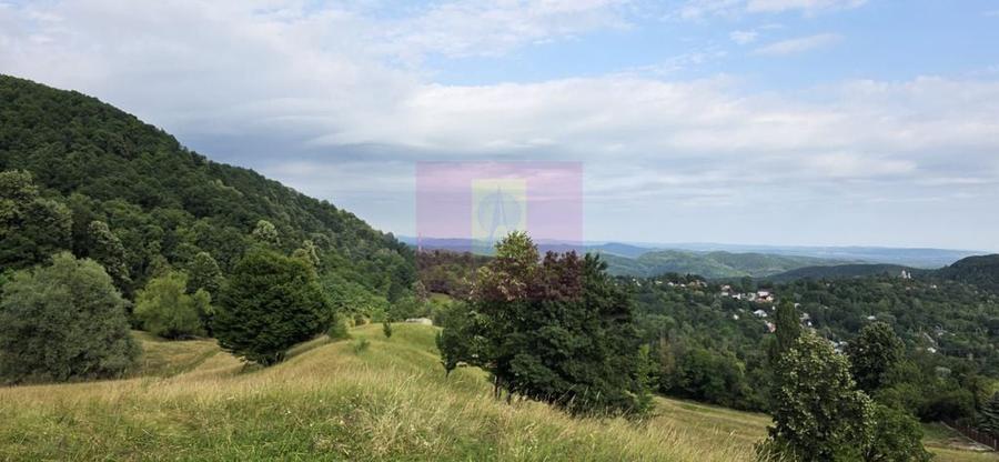 Casă cu 2 camere cu Teren 1500 Mp în Telega