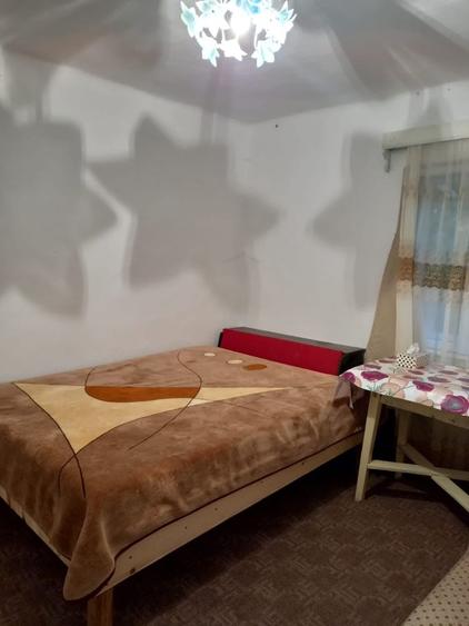 Casă cu 3 camere în Blăjeni