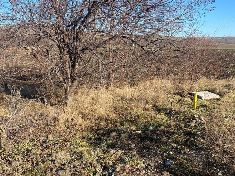 Teren de 4500 mp, în Speranța