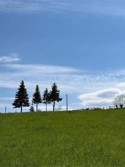 Teren de 2100 mp, în Putna