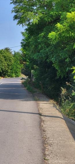 Teren Construcții intravilan de 2800 mp, în Călugăreni