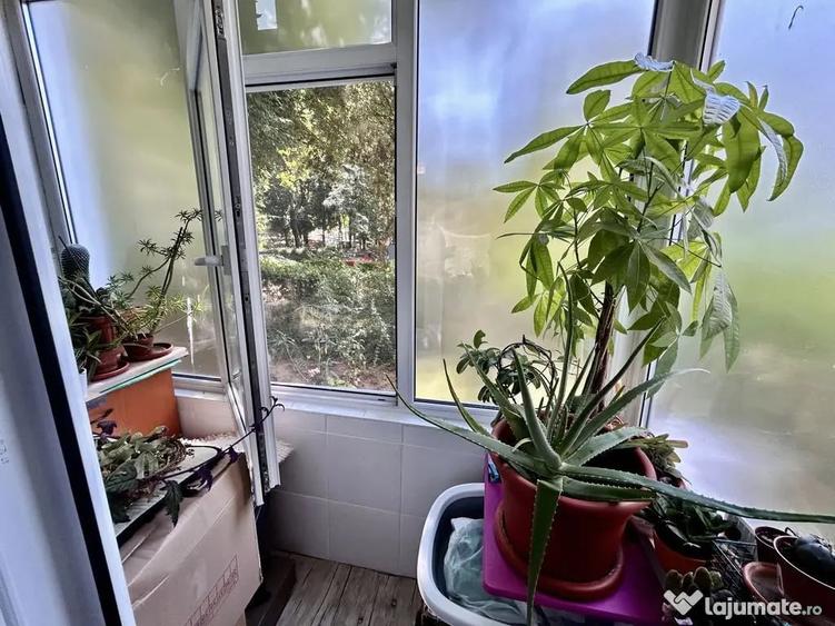 Apartament cu 2 camere semidecomandat în Cina