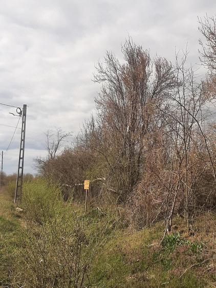 Teren de 2000 mp, în Sânnicolau Român