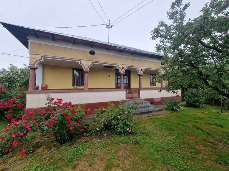 Gospodarie completa ?i spa?ioasa -Lunca Corbului- Ciesti! - 13