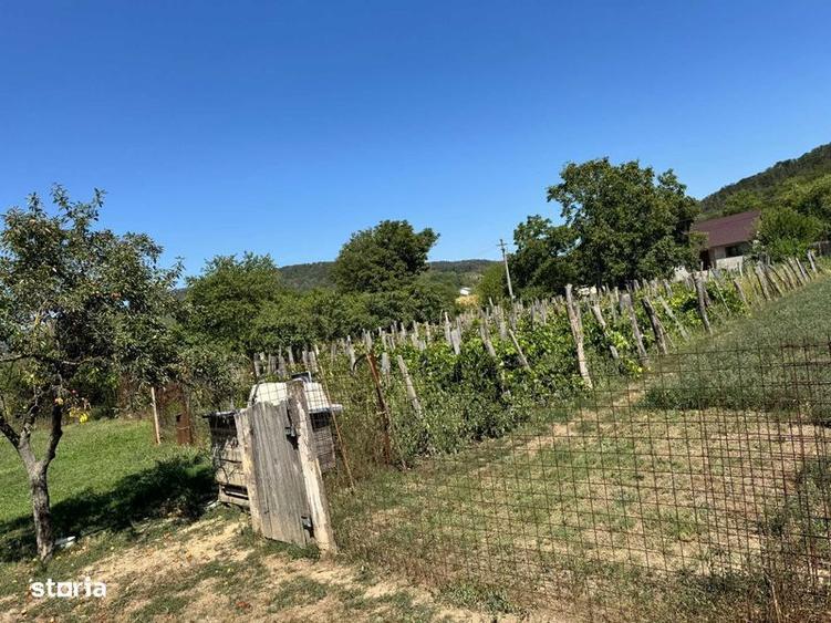 Teren de 1300 mp, în Tamași