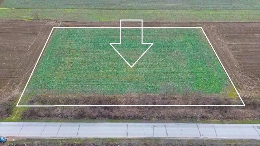 Teren de 6600 mp, în Lazuri
