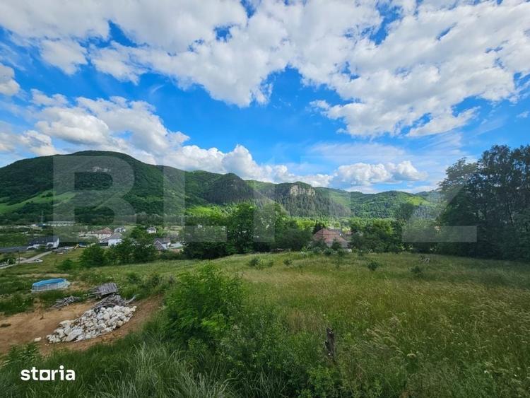 Teren de 1000 mp, în Lupșa