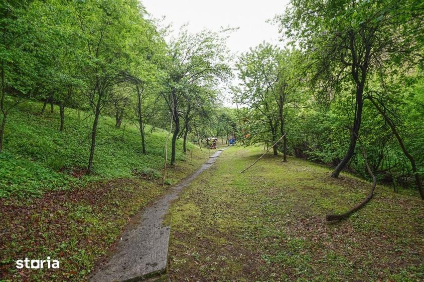 Casă cu 4 camere cu Teren 4891 Mp în Sava