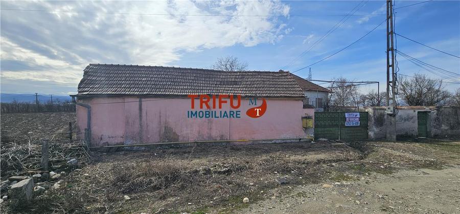 Teren Construcții intravilan de 8932 mp, în Șibot