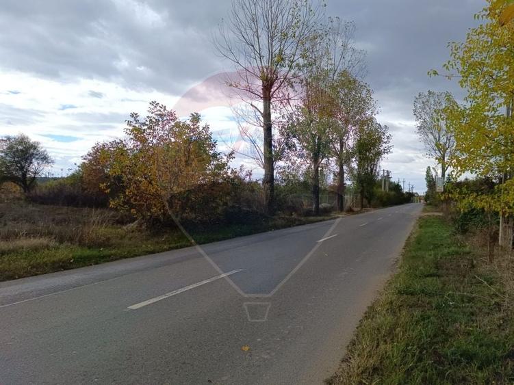 Teren Construcții intravilan de 2056 mp, în Ciolpani