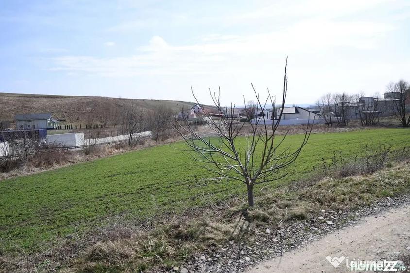 Teren în Moara