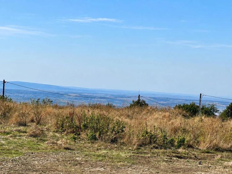 Teren intravilan de 10000 mp, în Bucium