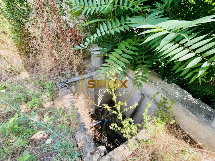 Teren Construcții intravilan de 1500 mp, în Lipia