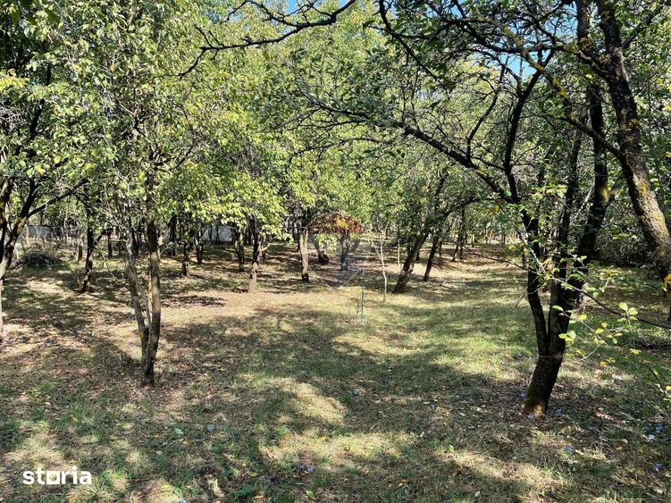 Teren de 2500 mp, în Central