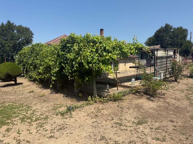 Casă cu 3 camere în Olteni