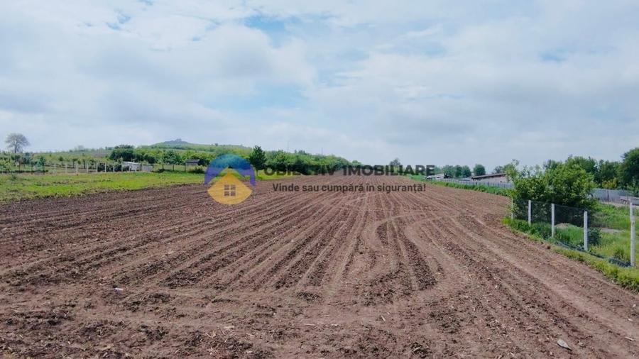 Teren intravilan de 12300 mp, în Cârligi
