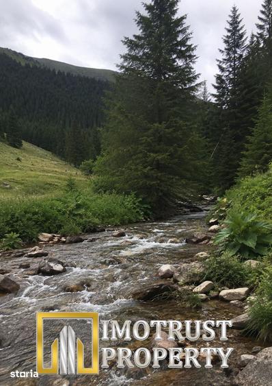 Teren de 4961 mp, în Vărădia de Mureș