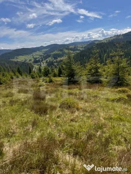 Teren partial intravilan ,9700 mp Oportunitate ,Belis - 2
