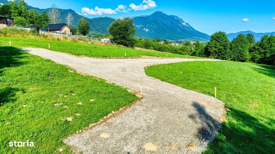 Teren intravilan zona Bran-Tohanita,langa padure intre 500 si 1000 m - 12