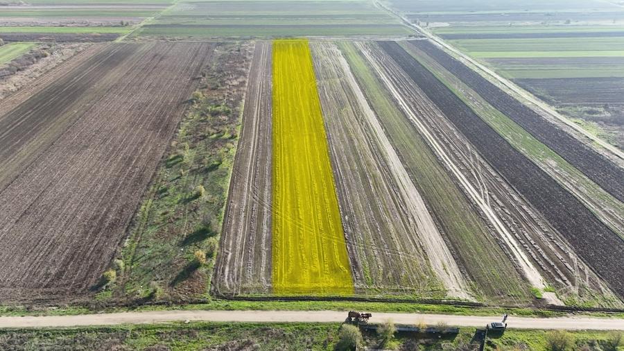 Teren Construcții intravilan de 10000 mp, în Gulia