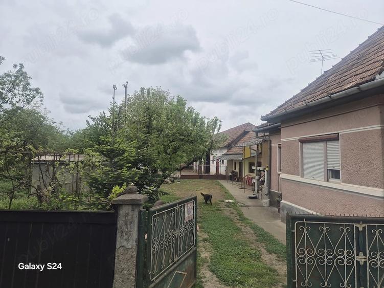 Teren de 4000 mp, în Glodeni