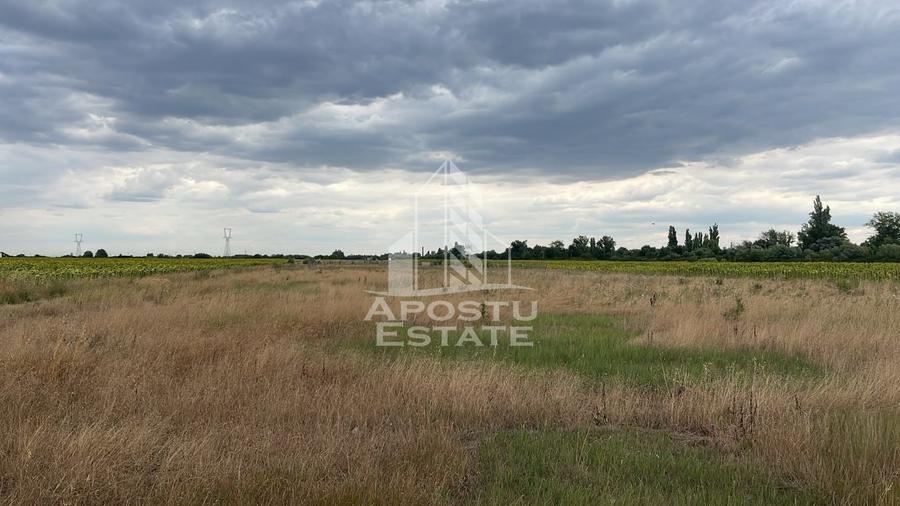 Teren Construcții intravilan de 1000 mp, în Sânmihaiu Român