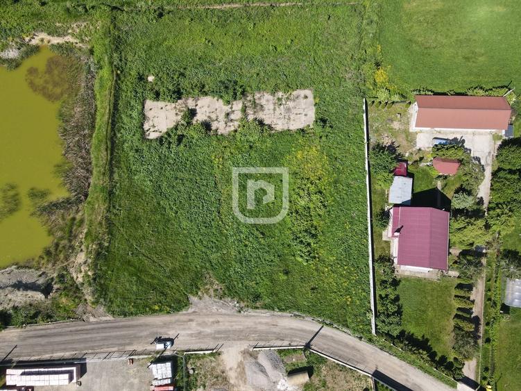 Teren Construcții intravilan de 4844 mp, în Șcheia