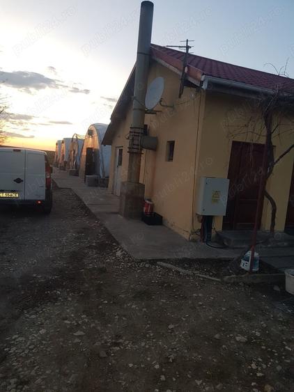 Teren de 10000 mp, în Mihail Kogălniceanu