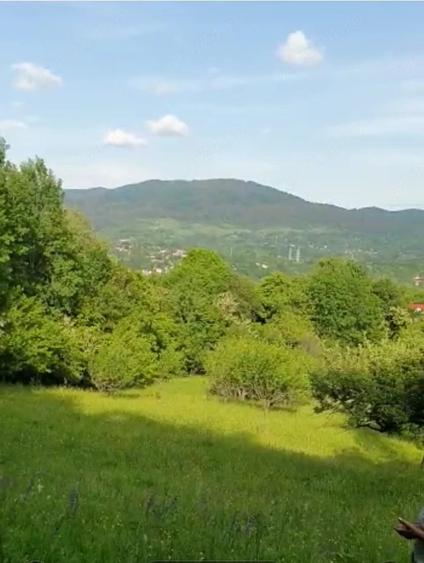 Teren de 600 mp, în Ghioșești
