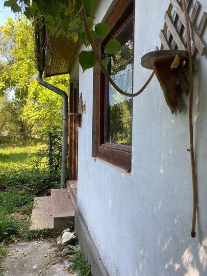Casă cu 5 camere cu Teren 3438 Mp în Avram Iancu (Vârfurile)