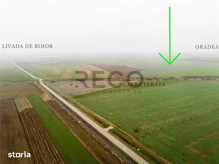 Teren de 5800 mp, în Nojorid